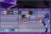 digital-evolutions.org