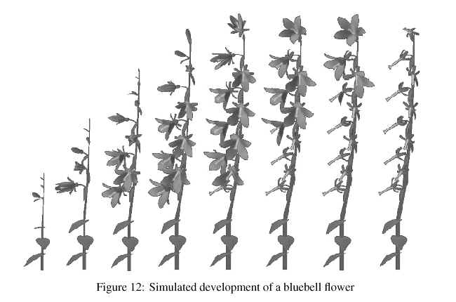 wpe30.jpg (28096 bytes)