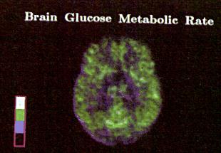 r_pg132.jpg (13033 bytes)